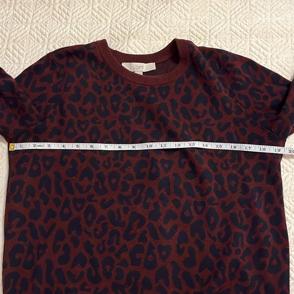 LOFT sweater, size small. Good used condition - Picture 5 of 6